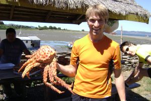 crab on chiloe island