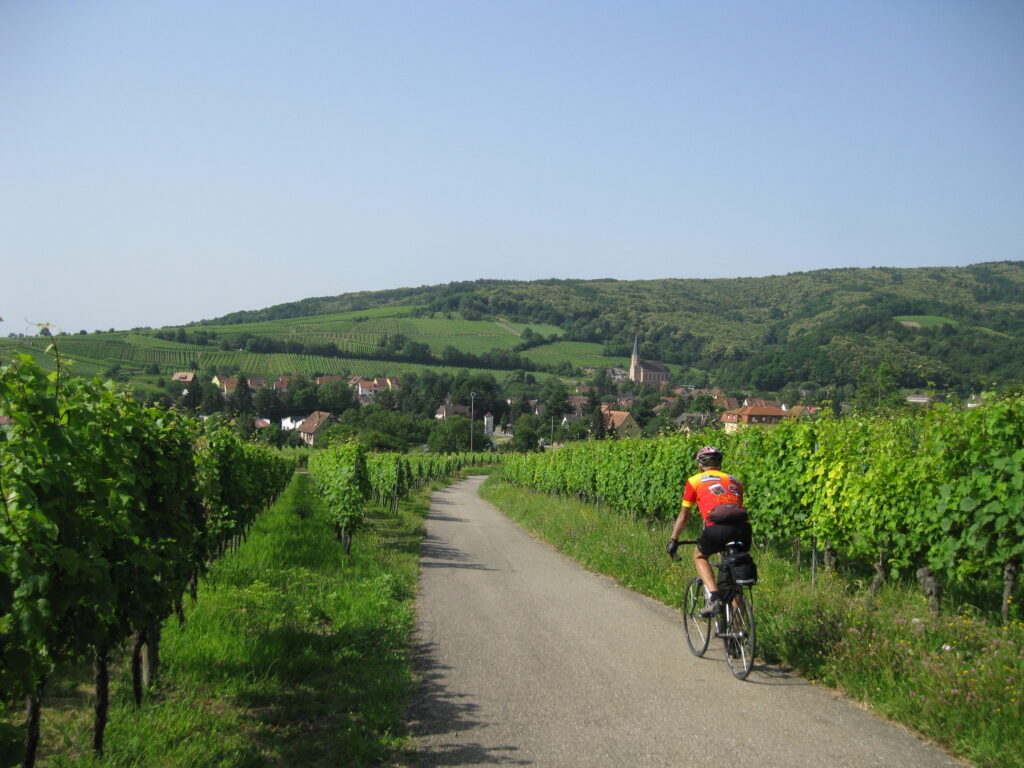 Alsace-vineyards
