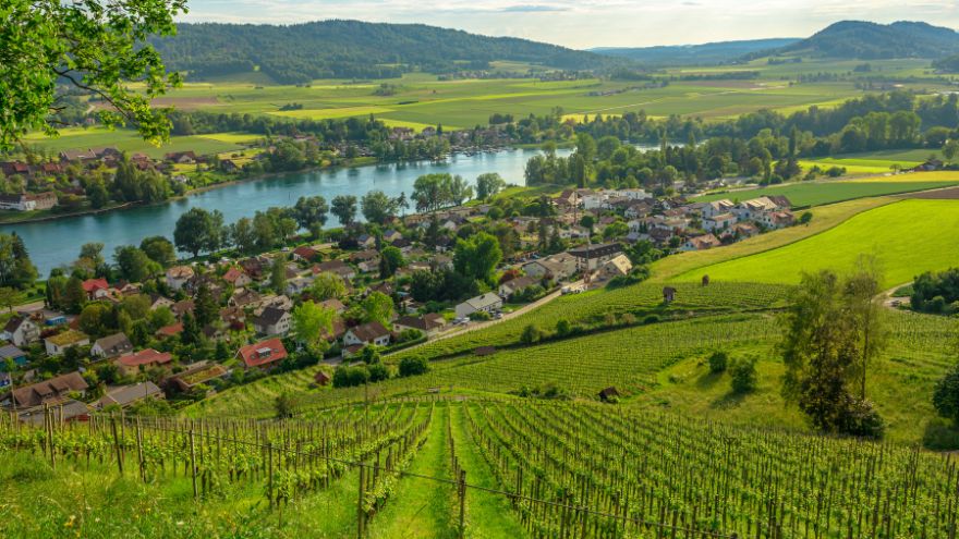 Bicycling the Black Forest to Lake Constance