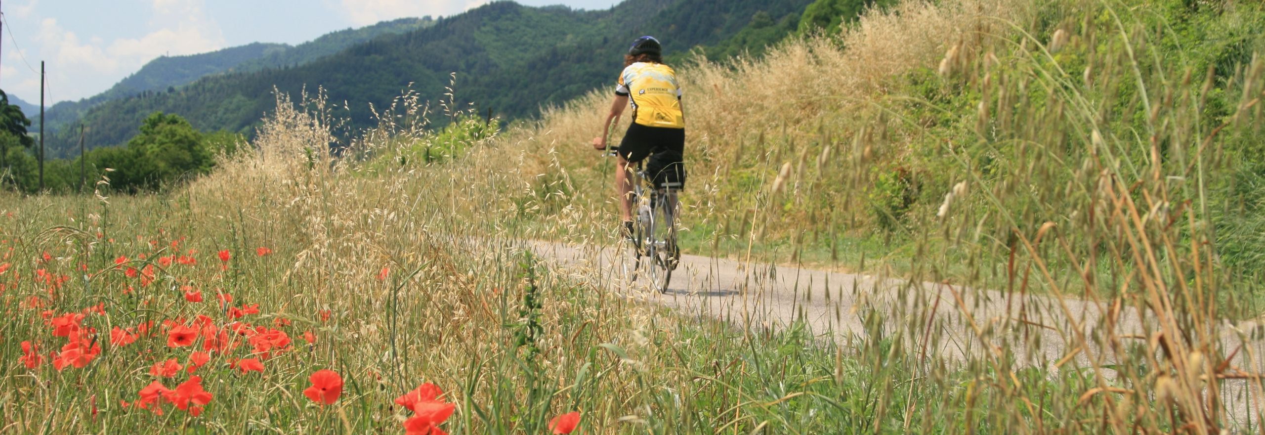 Bike across Italy, Venice to Pisa