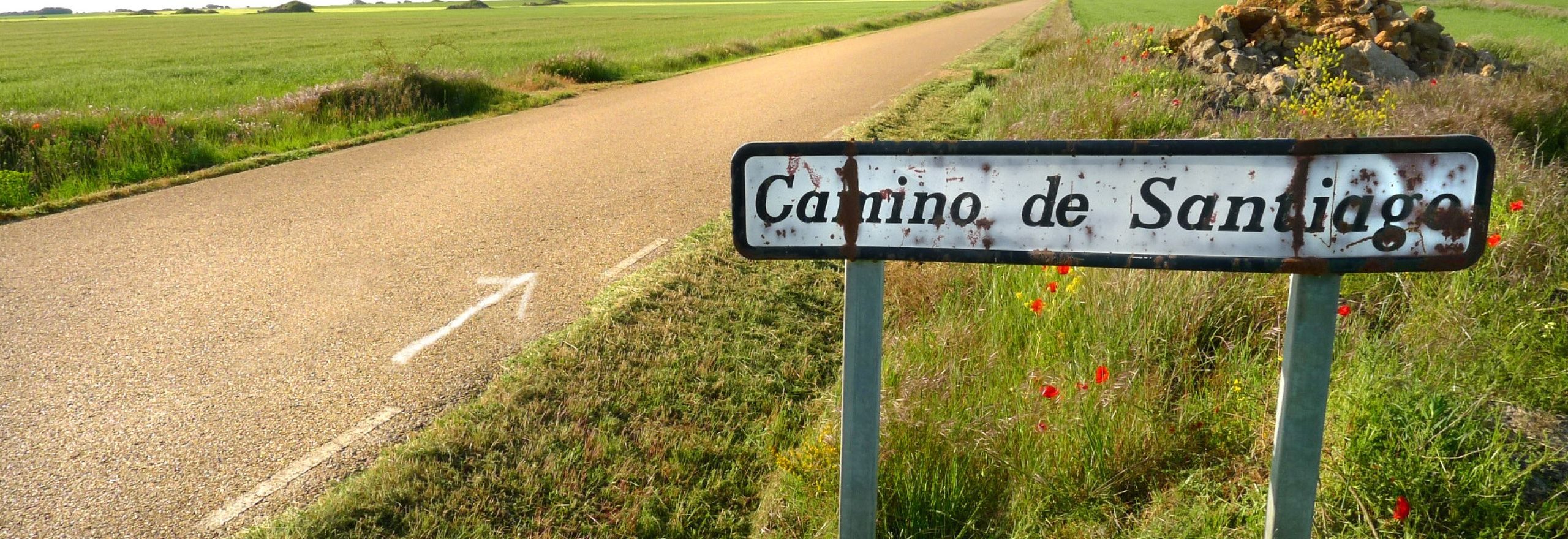 Views on a bike tour of the Camino de Santiago - the Meseta in Spain