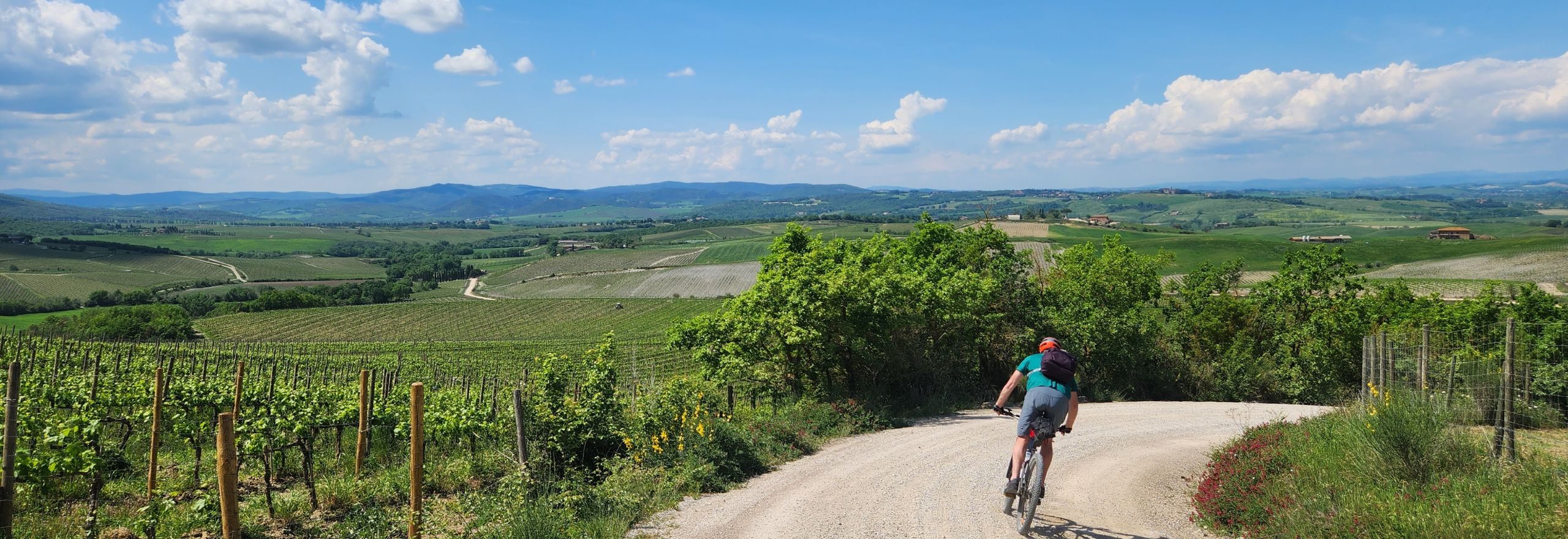 White Roads of Tuscany