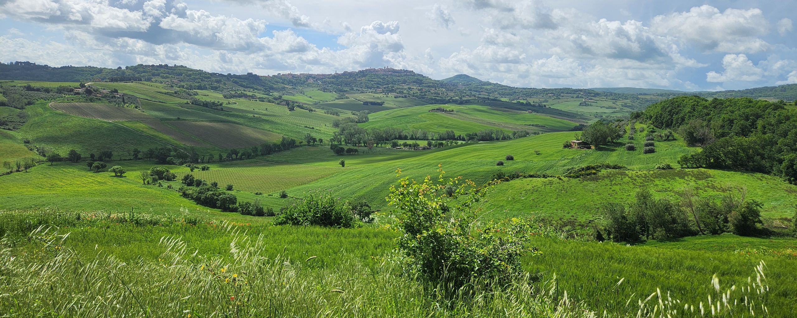 The rolling verdant hills of Tuscany make for excellent cycling