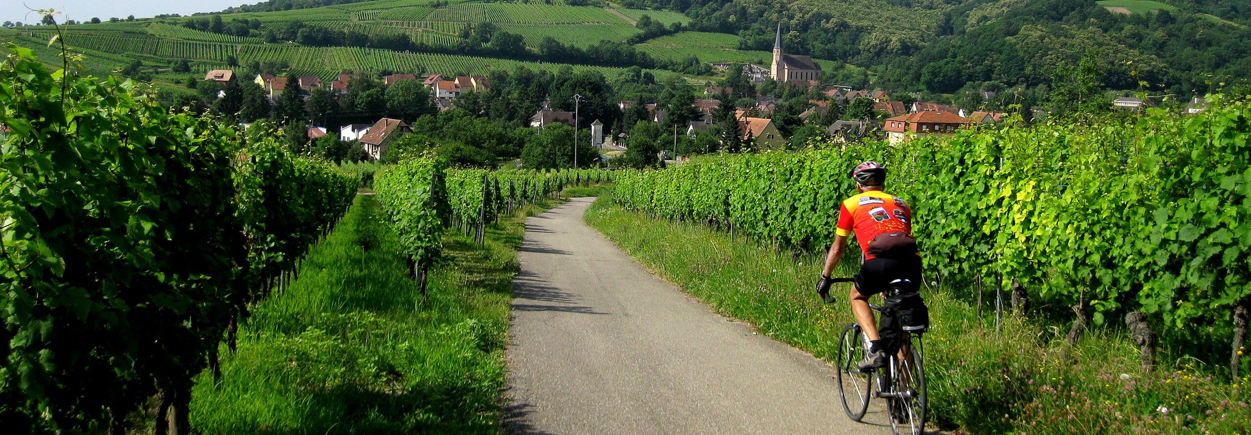 Exploring small villages in Alsace on this guided bike tour in france's wine country.
