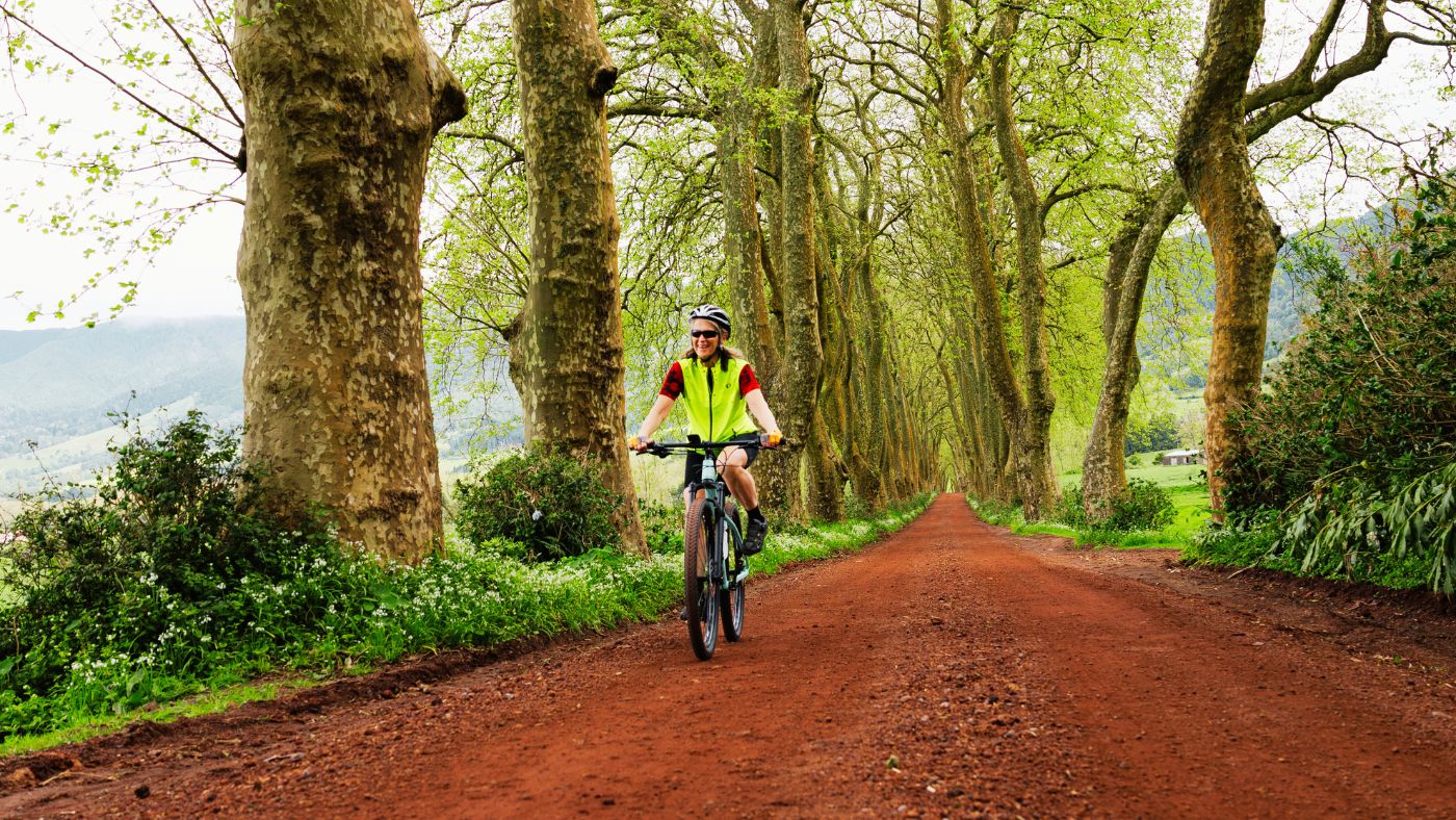 biking through a tunnel of trees on Sao Miguel island, Azores